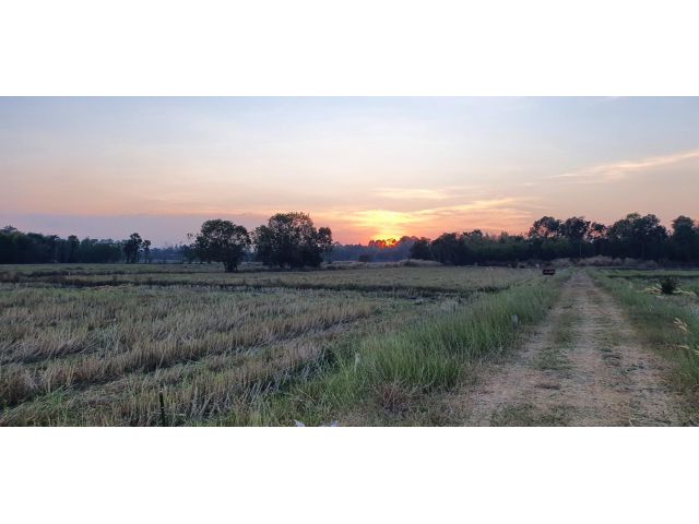 ที่สวย ดินดี ติดถนนลาดยาง ที่โฉนด มีน้ำประปา ไฟฟ้า เนื้อที่ 2 ไร่