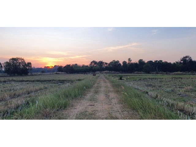 ที่สวย ดินดี ติดถนนลาดยาง ที่โฉนด มีน้ำประปา ไฟฟ้า เนื้อที่ 2 ไร่
