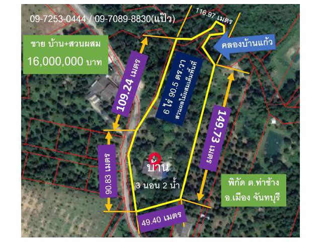 #ขายสวนทุเรียนผสม #บ้านสวย #โฉนด 6ไร่ #ท่าช้าง #เมือง #จันทบุรี #ขาย 16 ล้านบาท #Durian #Thailand #榴蓮 #山竹