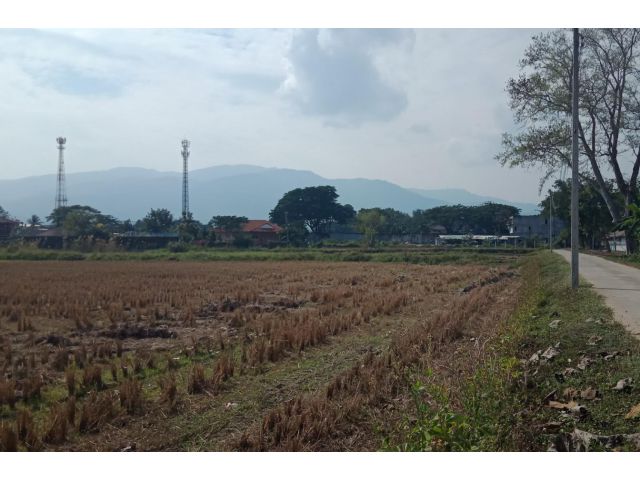 ที่นาบ้านป่าข่อยเหนือ