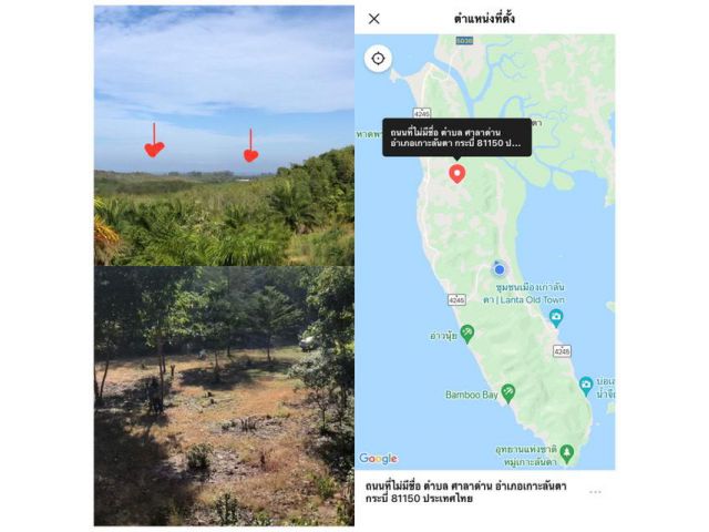 ที่ดินเปล่า 1 ไร่ เหมาะสำหรับสร้างบ้านพักตากอากาศ หรือ พูลวิลล่า หรือรีสอร์ทเล็กๆ