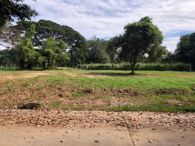 ที่ดิน ตรงข้ามกองพันสัตว์ต่าง ดอนแก้ว แม่ริม เชียงใหม่  - เจ้าของขายเอง