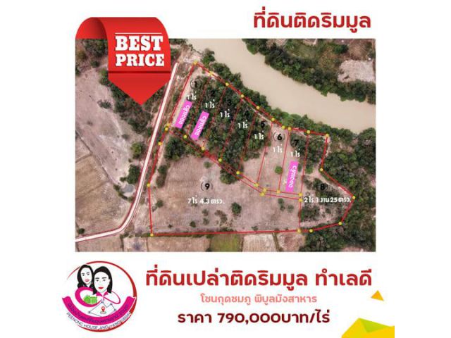 ขายที่ดินแปลงสวย 9แปลง ติดริมแม่น้ำมูล ต.กุดชมภู อำเภอพิบูลฯ จังหวัดอุบลฯ