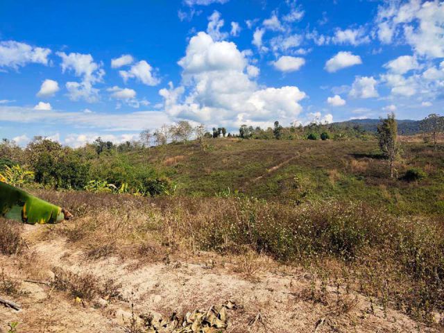 ## ขายที่ดินครอบครองทำสวนเกษตร พื้นที่  อ.เชียงดาว