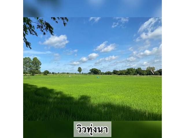 ที่ดิน5ไร่2.25ลบ ถไฟฟปป ต.บ้านพริก บ้านนา นครนายก