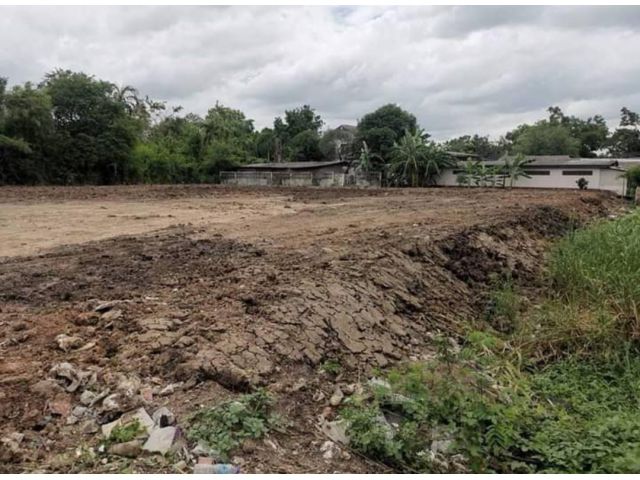 L740 ขายที่ดินสวย แปลงมุม ถมแล้ว 1-2-24 ไร่ ซ.พระแม่มหาการุณย์ ติวานนท์ ใกล้รถไฟฟ้า ทางด่วนศรีสมาน