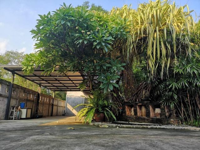 L739 ขายที่ดิน 200 ตรว พร้อมบ้าน 2หลัง ซ.นาคนิวาส 37 ลาดพร้าว 71 ใกล้รถไฟฟ้าสถานีโชคชัย 4