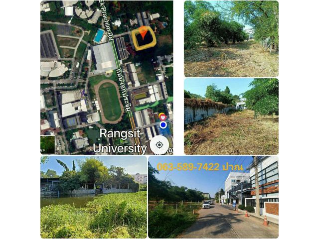 ขายที่ดินเปล่าปทุมธานี   ใกล้ ม. รังสิต เนื้อที่  4-2-48 ไร่