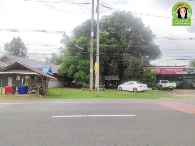 ที่ดินติดถนนแจ้งสนิท  บ้านดอนชี