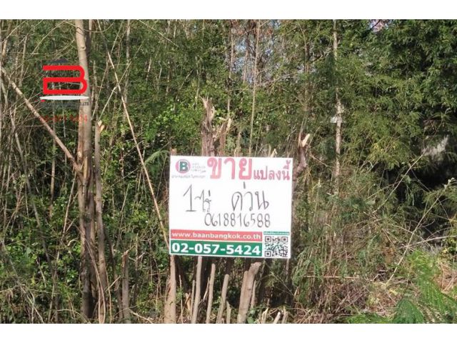 ที่ดินเปล่า ลาดตาล-ติดวัดสองเขตสามัคคี เนื้อที่ 1 ไร่ ถนนอ่างทอง-สุพรรณบุรี อ.เมืองสุพรรณบุรี