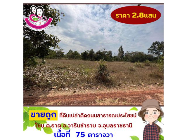 ขายถูก ที่ดินเปล่า อ.วารินชำราบ ต.ธาตุ เนื้อที่ 75ตารางวา