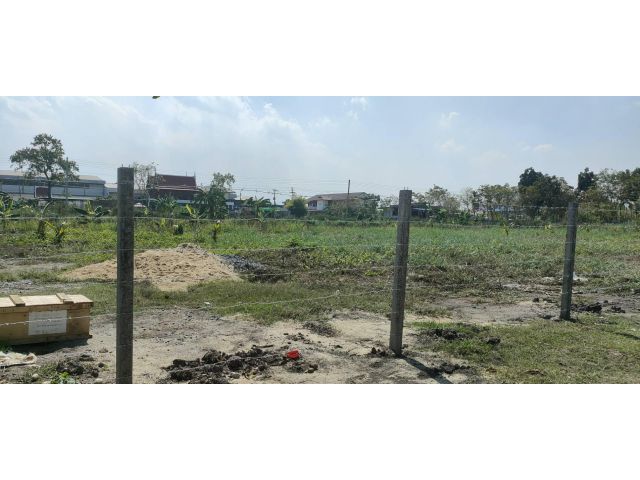 ขายที่ดิน 300 ตรวแปลงสวย คลอง 3 ซอยคลองหลวง 5/15 ปทุมธานี
