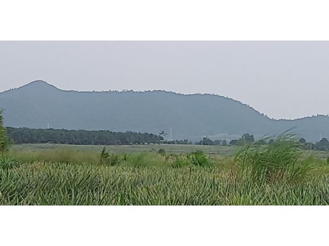 ขายที่ดิน นส3 ก.รวม 305 ไร่ แปลงสวย ทําเลดี ฝั่งตะวันตก