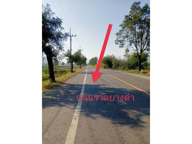 ที่นาสวยเหมาะสำหรับทำเกษตรพอเพียง