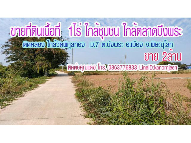 ขายที่ดินถมแล้ว ติดถนนคันคลอง ใกล้ตลาดบึงพระ ใกล้วัดพิกุลทอง  ม.7 ต.บึงพระ อ.เมืองพิษณุโลก เนื้อที่ 1 ไร่ ขาย 1.8 ล้าน