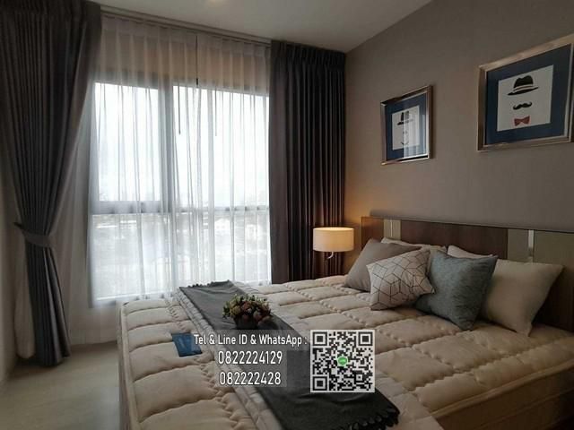 ให้เช่าคอนโด  Life sukhumvit 48 ขนาด 34 ตรม.