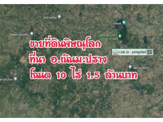 > ขายที่ดินพิษณุโลก ที่นา อ.เนินมะปราง โฉนด 10 ไร่