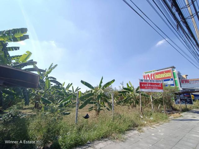 ขายที่ดินไทรน้อย ติดถนน ใกล้ถนนกาญจนาภิเษก