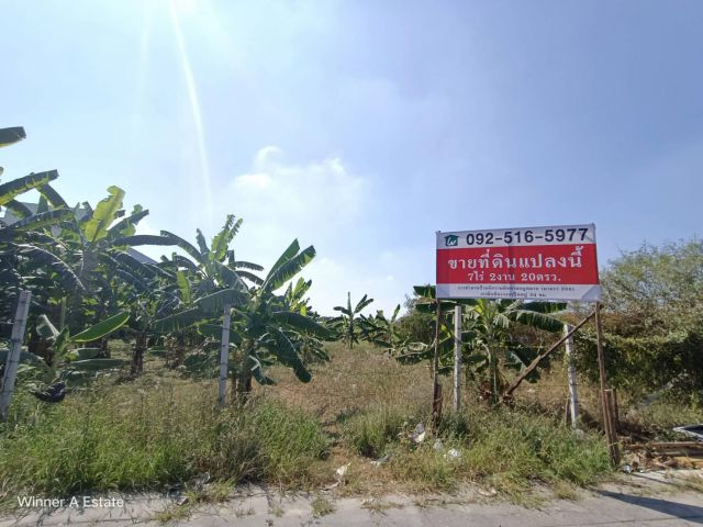 ขายที่ดินไทรน้อย ติดถนน ใกล้ถนนกาญจนาภิเษก