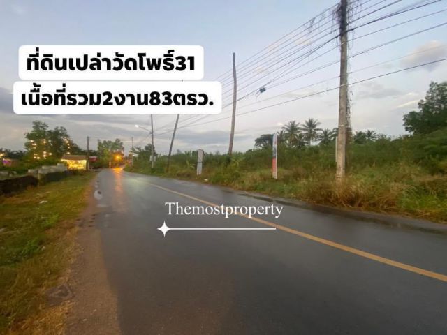 ขายที่ดินเปล่า ในเมืองติดถนนวัดโพธิ์31
