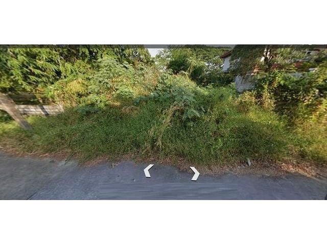 ขายที่ดิน 100 ตร.ว. พัฒนาการซอย69  เหมาะสร้างบ้าน สักนักงาน