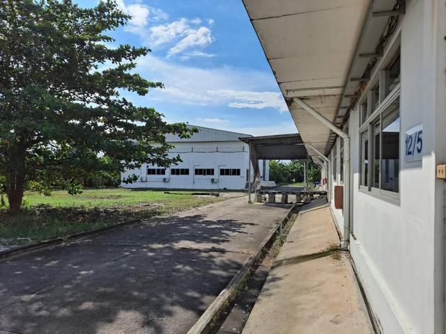 ขายโรงงานผลิตอาหารเสริม 7 ไร่เศษ เขตหนองจอก