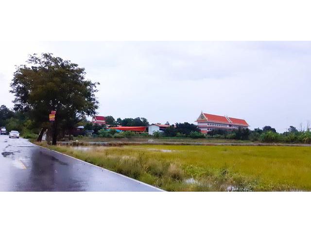 ไทรน้อยนนทบุรี  ที่ดิน300ตรว. บางเลน วัดบึงลาดสวาย