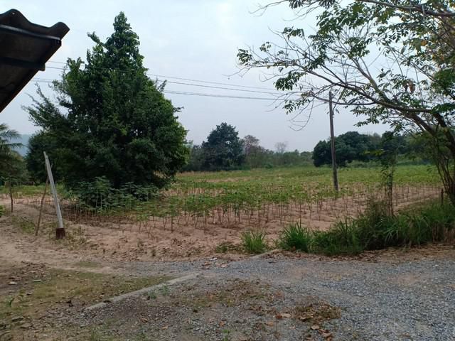 ขายที่ดินสีม่วง 1 ไร่ ใกล้ถนนใหญ่เส้น 36 เพียง 900 เมตร นิคมพัฒนา ระยอง