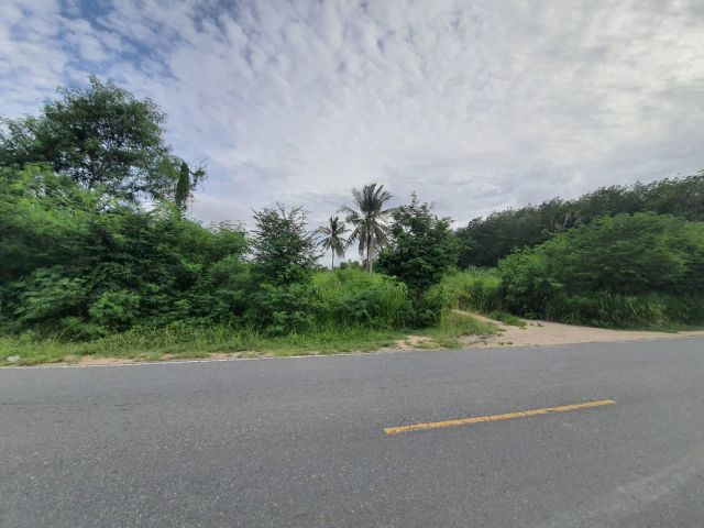 ขายที่ดินม่วงลาย 22 ไร่ ติดถนนเส้น 36 - 850 เมตร อ. นิคมพัฒนา จ. ระยอง