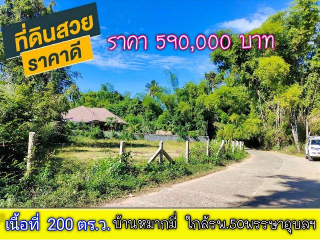 ที่ดินบ้านหมากใกล้ รพ. 50 พรรษาอุบลฯ 200 ตร.ว. เพียง 590,000 บาท