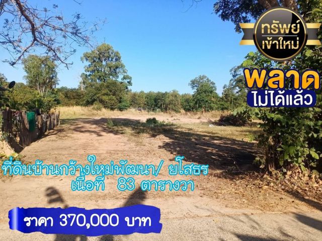 ที่ดินสร้างบ้าน บ้านกว้างใหม่พัฒนา/ยโสธร  370,000.-
