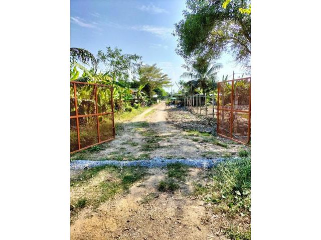 ที่ดิน 1 ไร่ 42 ตร.วา  พร้อมบ้านสวน 36 ตร.ม.