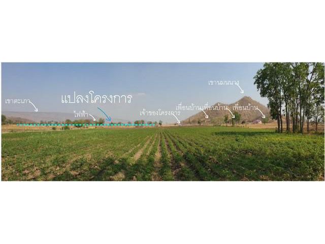 ที่ดินแบ่งขายราคาถูกโฉนดครุฑแดง ตำบลโคกสำโรง