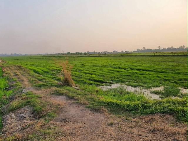 ขายที่ดินบ้านนา 27 ไร่ ติดถนน 2 ด้าน ใกล้ถนนเส้นรังสิต-นครนายก(305) - 7 กม. จ. นครนายก
