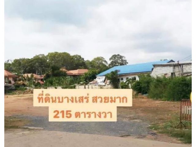 ที่ดินริมหาด เหมาะสร้างบ้านหรู,อาคารพาณิชย์ ,ที่พักส่วนตัว,รีสอร์ท ,โรงแรม จ.ชลบุรี