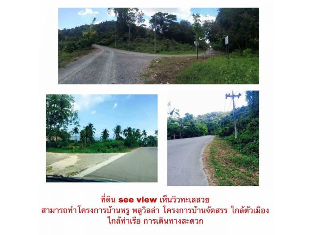 ขายที่ดินเมืองภูเก็ตบนเกาะสิเหร่ใกล้ทะเล เนื้อที่ 23ไร่เศษ ขาย  8 ล้านต่อไร่