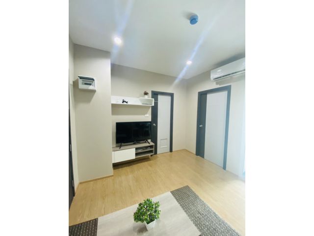 คอนโดวันพลัส มหิดล 5 เดือนละ 8,000 บาท