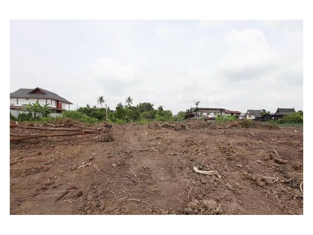 ขายที่ดินติดคลองบางคูวัด อ.เมือง จ.ปทุมธานี เหลือแปลงสุดท้าย แปลงติดริมน้ำ