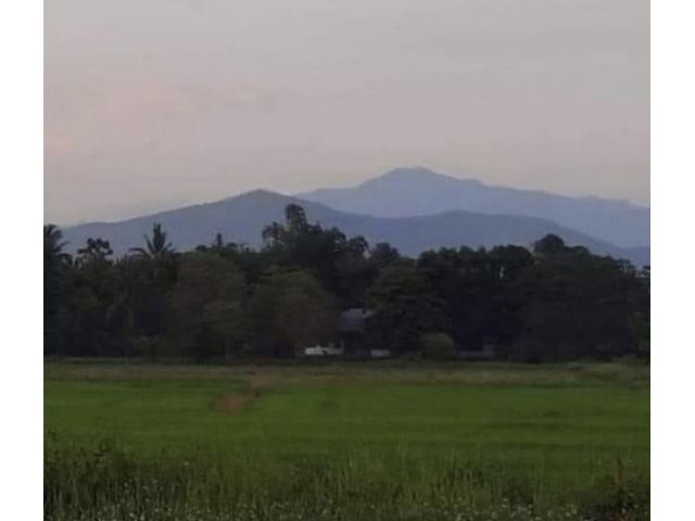 ขายที่ดินใจกลางเมืองสันกำแพงเชียงใหม่ที่สวยมาก ติดลำธาร วิวทุ่งนาและภูเขาล้อมรอบสวยที่สุดในเชียงใหม่