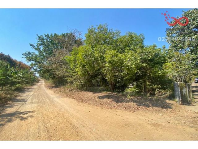 ขายที่ดินพร้อมผลไม้ ยางพารา เนื้อที่ 60 ไร่ 268 ตารางวา  สหกรณ์นิคม อำเภอทองผาภูมิ กาญจนบุรี