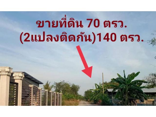 PK120 ขายที่ดินใกล้กรุงเทพ จ.ปทุมธานีอ.หนองเสือคลอง8  เข้าจากถนนรังสิต~นครนายกเพียง2กิโลเท่านั้น  มี2แปลงติดกันน้ำไฟพร้อ