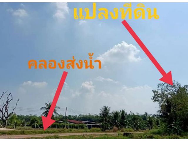 PK121 ขายที่ดิน 2ไร่ #ในราคาเพียง3.8ล้าน เดิม4.2ล้านบาท (ที่ดินติดถนนทางสาธารณะทั้ง2ฝั่ง/ด้านหน้ามีคลองส่งน้ำ)#เข้าออกสะ