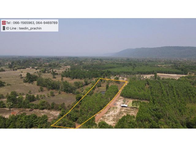 ขายที่ทำสวน ทำเกษตร เขตนนทรี กบินทร์บุรี เนื้อที่ 8-3-25 ไร่