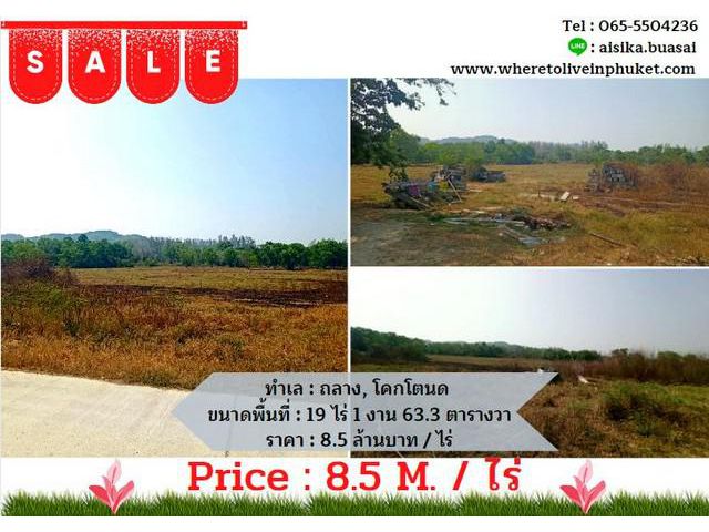 For Sales Land Thalang, Khoktanod,19 Rai 1 Ngan