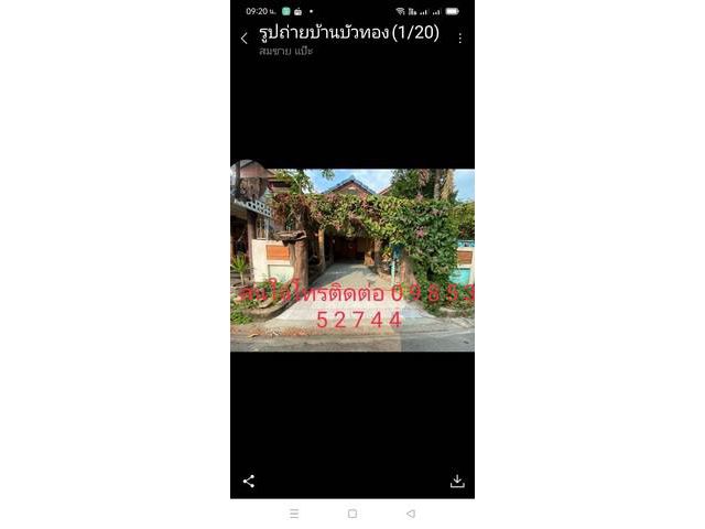 ขาย/เช่า บ้านเดี่ยวใกล้เซ็นทรัลเวสเกต