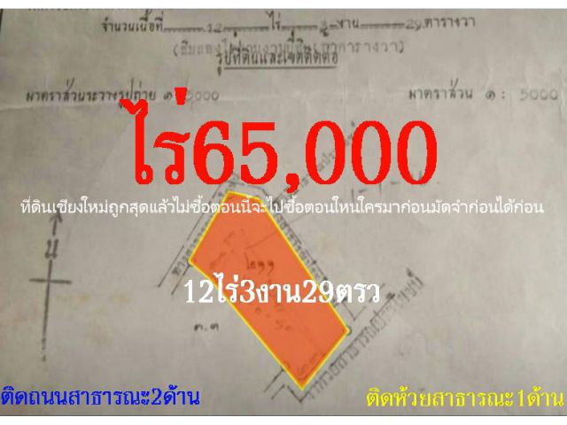 ขายที่ดินขายไร่ละ65,000 ทาท