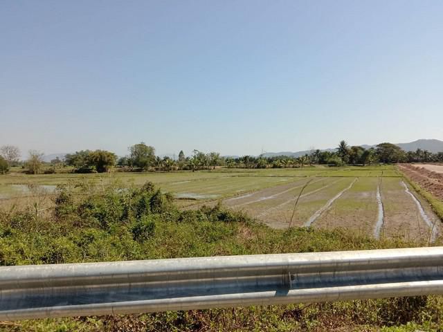 ขายที่ดิน เนื้อที่หกไร่อยู่หลังที่ว่าการเวียงชัย
