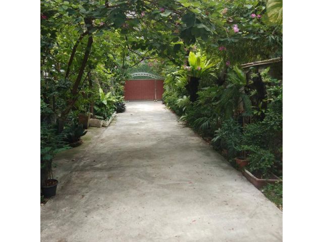 ขายที่ดินพร้อมบ้านไม้โบราณทั้งหลัง พื้นที่ 1 ไร่เศษ ใกล้ BTS อารีย์ BIG-C สะพานควาย โรงพยาบาล เปาโลพญาไท อยู่ระหว่าง BTS