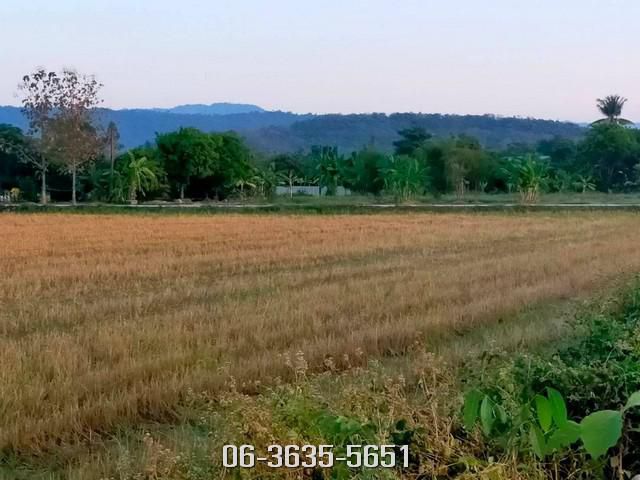 ขายที่สวยวิวเขา ต.สาริกา อ.เมืองนครนายก