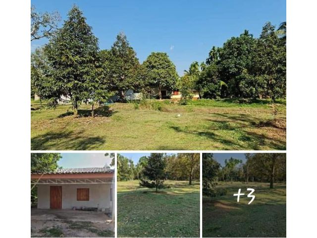 บ้านพร้อมสวนวัยเกษียณ ทำเลดีในชุมชน